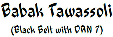 Babak Tawassoli passport photo