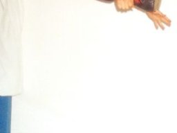 018_Babak_Tawassoli_2004